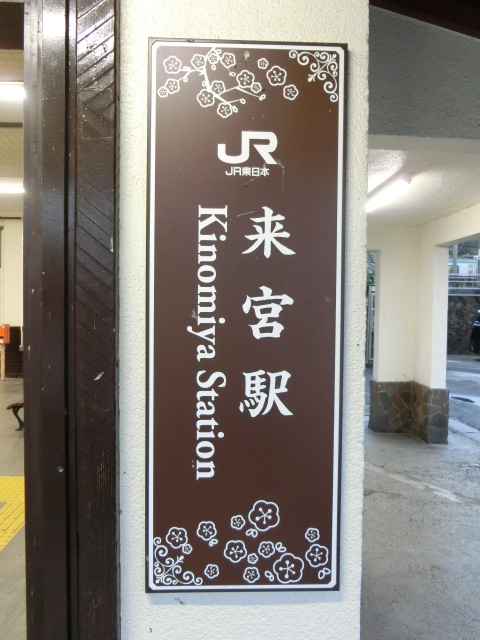 第1種