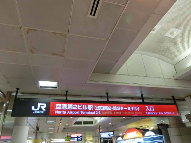 第1種
