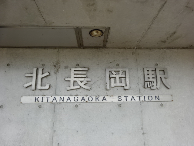 第1種