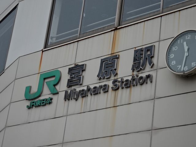 第1種 (東口)