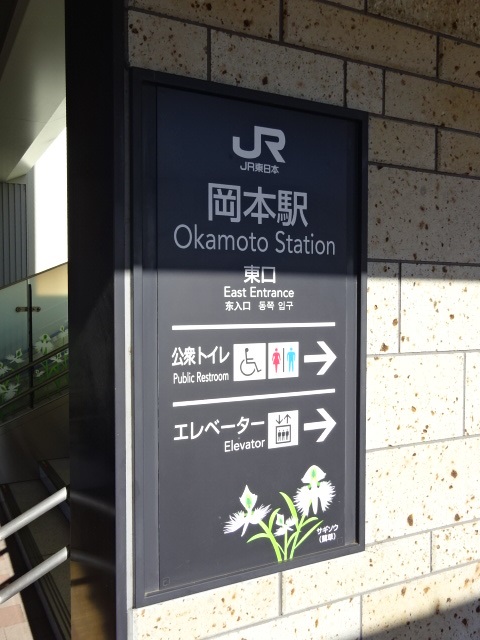 第1種 (東口)