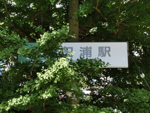 第1種 (南口)