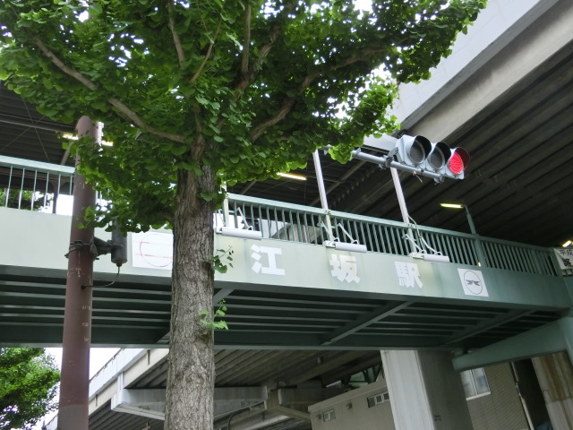 第1種 (出入口4)